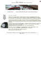 Mobile Screenshot of denartiest.com